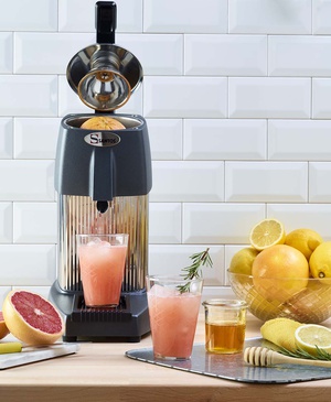 Presse-agrumes à levier n°10